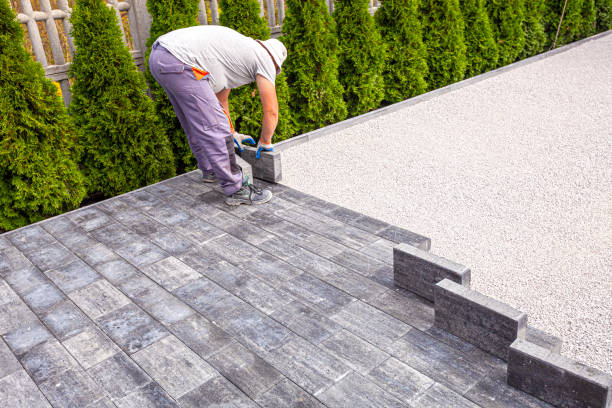 Best Professional Driveway Pavers  in Breckenridge, MN