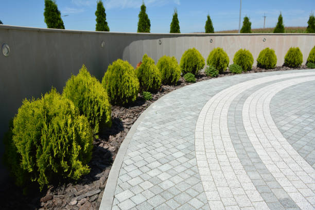Best Residential Paver Driveway  in Breckenridge, MN